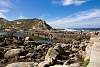 12032020ourense2020_dia13_visita_islas_reserva_natural345.jpg