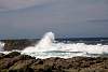 12032020ourense2020_dia13_visita_islas_reserva_natural349.jpg