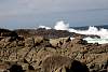 12032020ourense2020_dia13_visita_islas_reserva_natural367.jpg