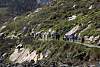 12032020ourense2020_dia13_visita_islas_reserva_natural378.jpg