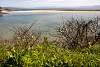 12032020ourense2020_dia13_visita_islas_reserva_natural393.jpg