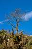 12032020ourense2020_dia13_visita_islas_reserva_natural396.jpg