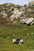 12032020ourense2020_dia13_visita_islas_reserva_natural398.jpg