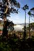 12032020ourense2020_dia13_visita_islas_reserva_natural408.jpg