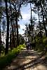 12032020ourense2020_dia13_visita_islas_reserva_natural414.jpg