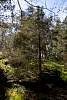12032020ourense2020_dia13_visita_islas_reserva_natural442.jpg