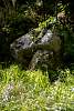 12032020ourense2020_dia13_visita_islas_reserva_natural444.jpg