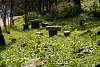 12032020ourense2020_dia13_visita_islas_reserva_natural445.jpg