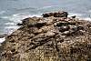 12032020ourense2020_dia13_visita_islas_reserva_natural483.jpg