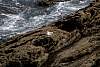 12032020ourense2020_dia13_visita_islas_reserva_natural486.jpg