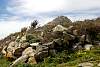 12032020ourense2020_dia13_visita_islas_reserva_natural496.jpg
