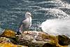 12032020ourense2020_dia13_visita_islas_reserva_natural511.jpg