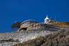12032020ourense2020_dia13_visita_islas_reserva_natural562.jpg