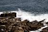 12032020ourense2020_dia13_visita_islas_reserva_natural579.jpg