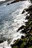12032020ourense2020_dia13_visita_islas_reserva_natural581.jpg