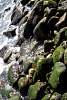 12032020ourense2020_dia13_visita_islas_reserva_natural583.jpg