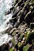 12032020ourense2020_dia13_visita_islas_reserva_natural584.jpg