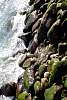 12032020ourense2020_dia13_visita_islas_reserva_natural585.jpg