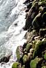 12032020ourense2020_dia13_visita_islas_reserva_natural586.jpg