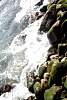 12032020ourense2020_dia13_visita_islas_reserva_natural587.jpg