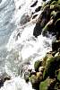 12032020ourense2020_dia13_visita_islas_reserva_natural588.jpg
