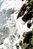 12032020ourense2020_dia13_visita_islas_reserva_natural590.jpg