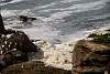 12032020ourense2020_dia13_visita_islas_reserva_natural601.jpg