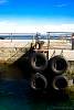 12032020ourense2020_dia13_visita_islas_reserva_natural681.jpg