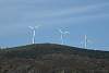 12032020ourense2020_dia13_visita_islas_reserva_natural81.jpg