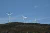 12032020ourense2020_dia13_visita_islas_reserva_natural84.jpg
