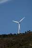 12032020ourense2020_dia13_visita_islas_reserva_natural86.jpg